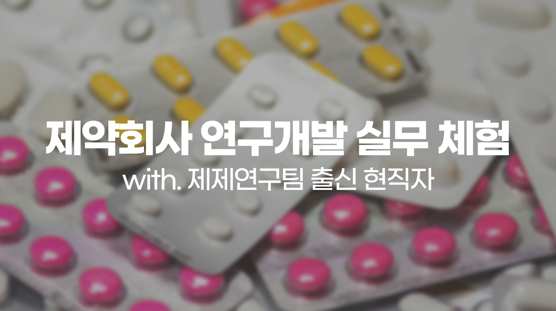 직무부트캠프 배너