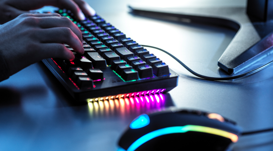 직무부트캠프 배너