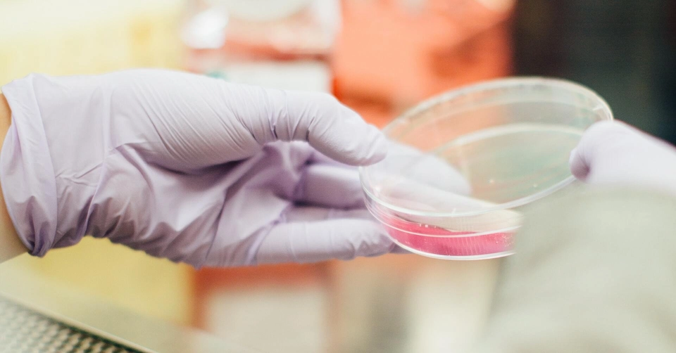 직무부트캠프 배너