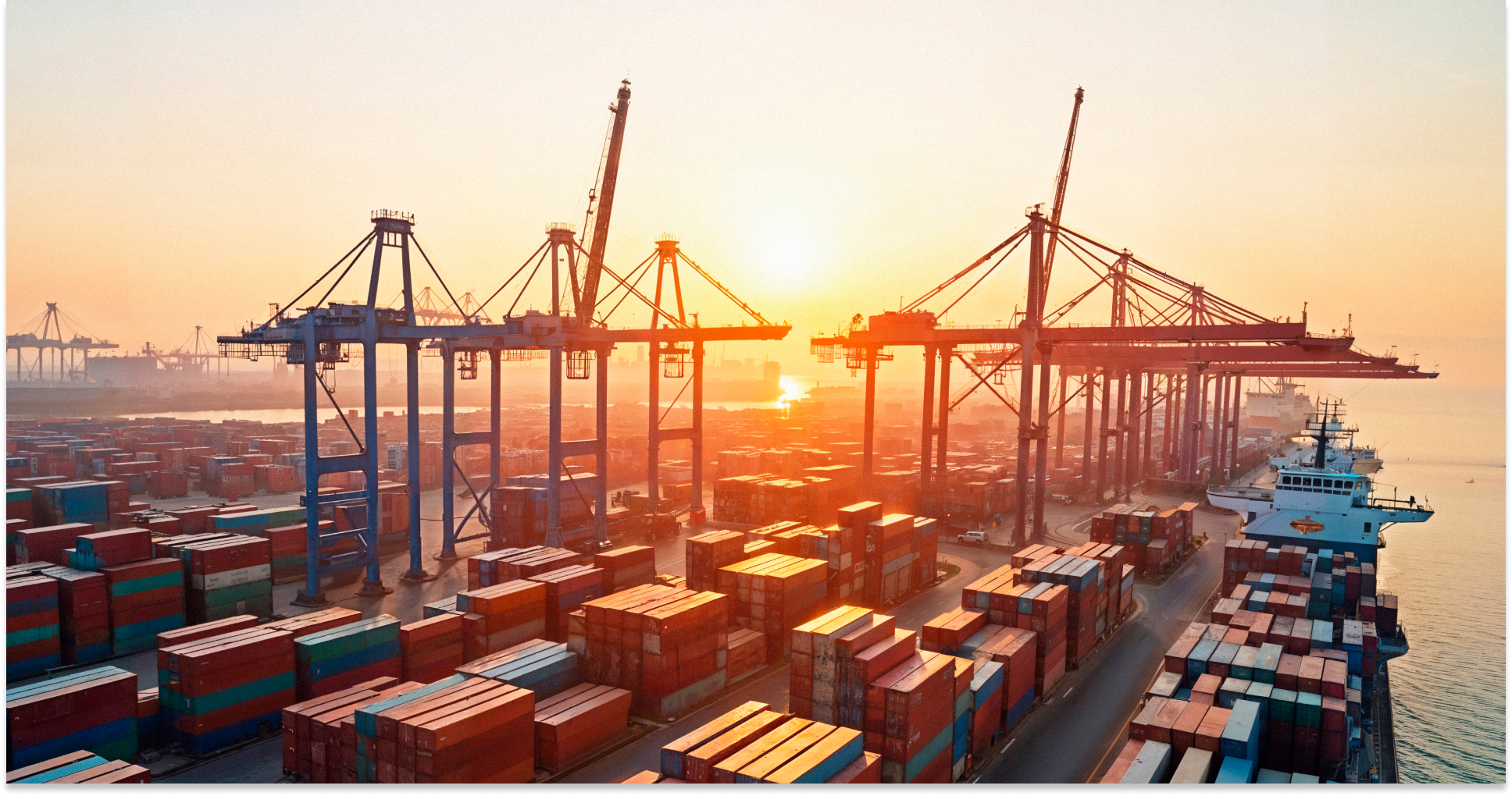 직무부트캠프 배너