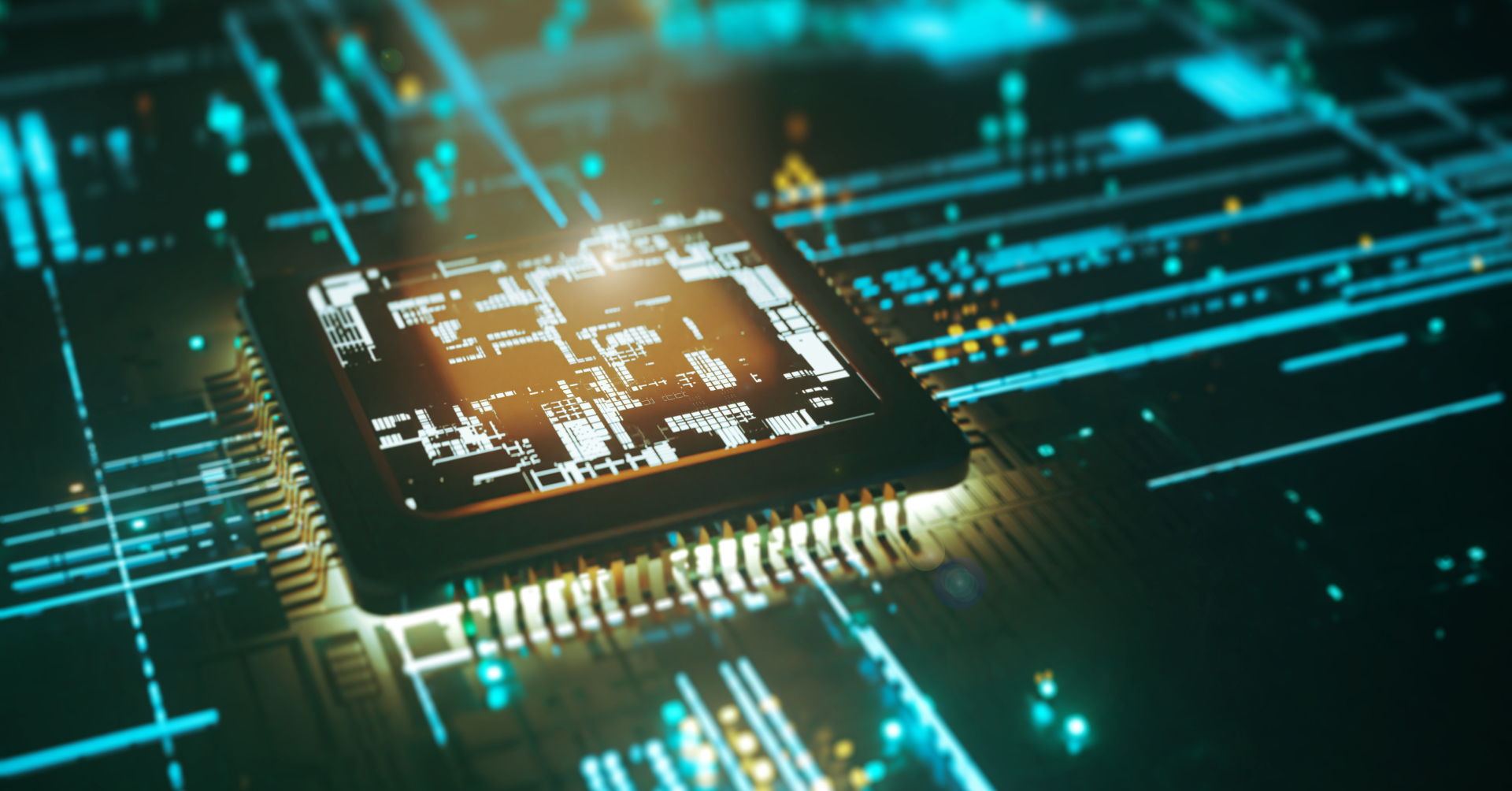 직무부트캠프 배너