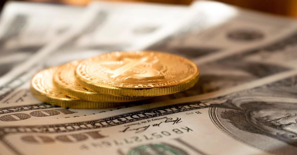 직무부트캠프 배너