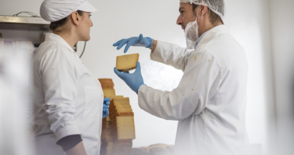 직무부트캠프 배너