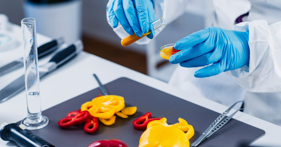 직무부트캠프 배너